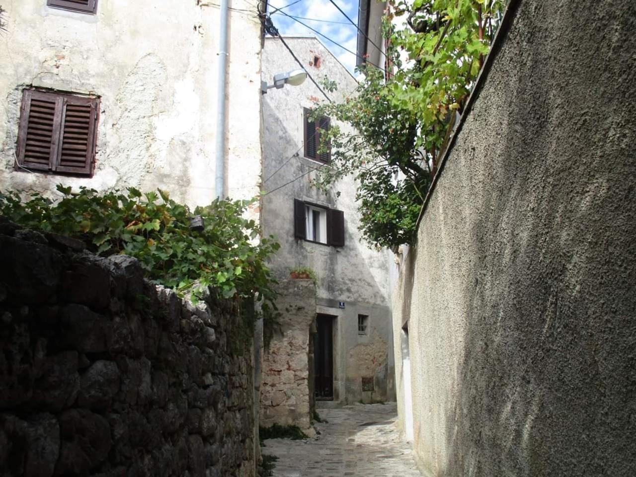 Apartments Vila Ida Vantacici Exterior photo